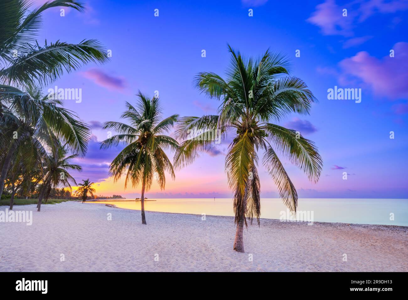 Smathers Beach, Sunrise bellamente enmarcado por palmeras Key West, Florida, Estados Unidos Foto de stock