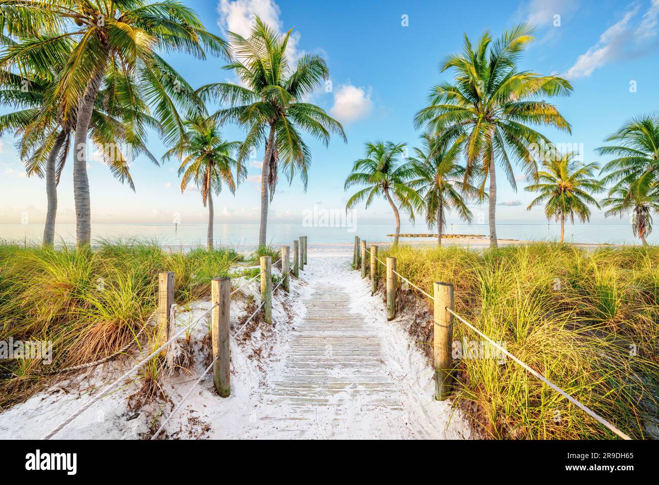 Smathers Beach, Sunrise bellamente enmarcado por palmeras Key West, Florida, Estados Unidos Foto de stock