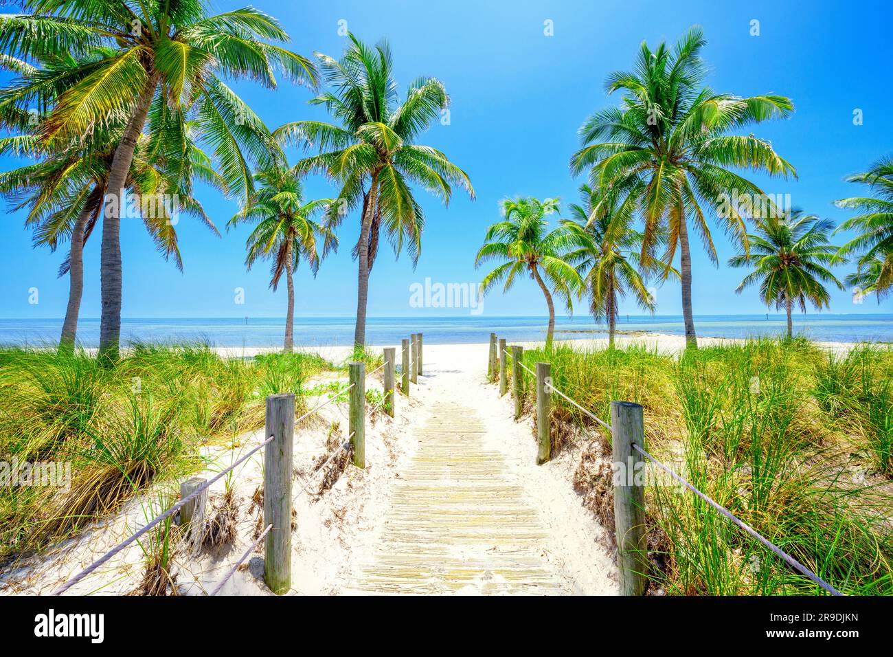 Smathers Beach, bellamente enmarcado por Palm Trees Key West, Florida, Estados Unidos Foto de stock