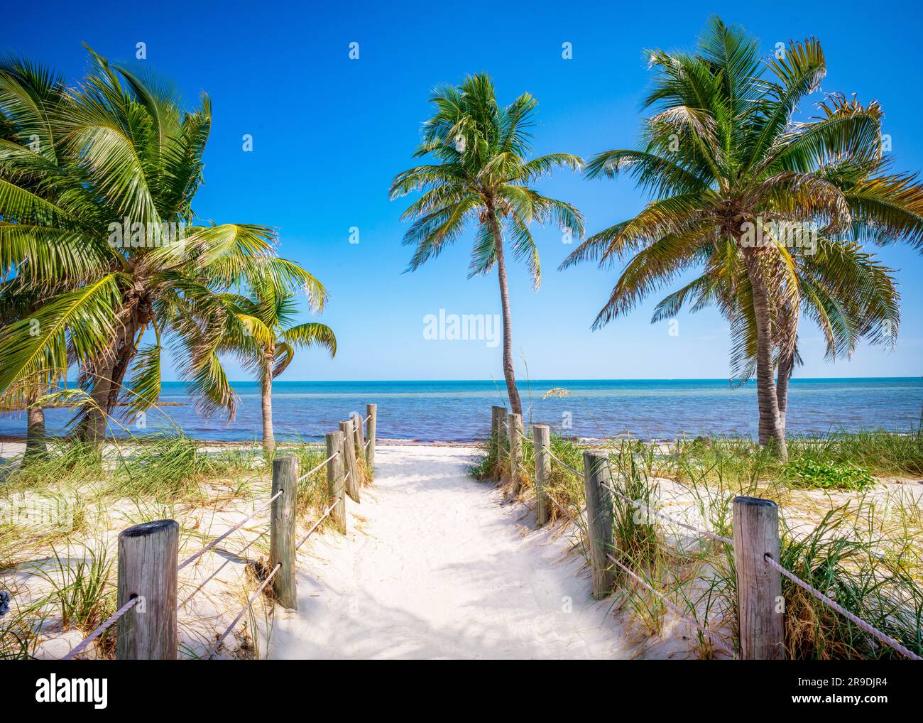 Smathers Beach, bellamente enmarcado por Palm Trees Key West, Florida, Estados Unidos Foto de stock