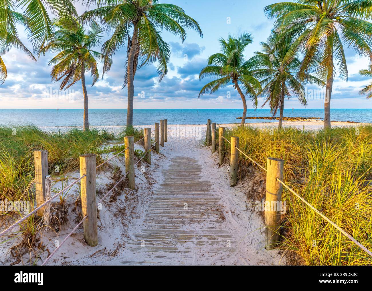 Smathers Beach, Sunrise bellamente enmarcado por palmeras Key West, Florida, Estados Unidos Foto de stock