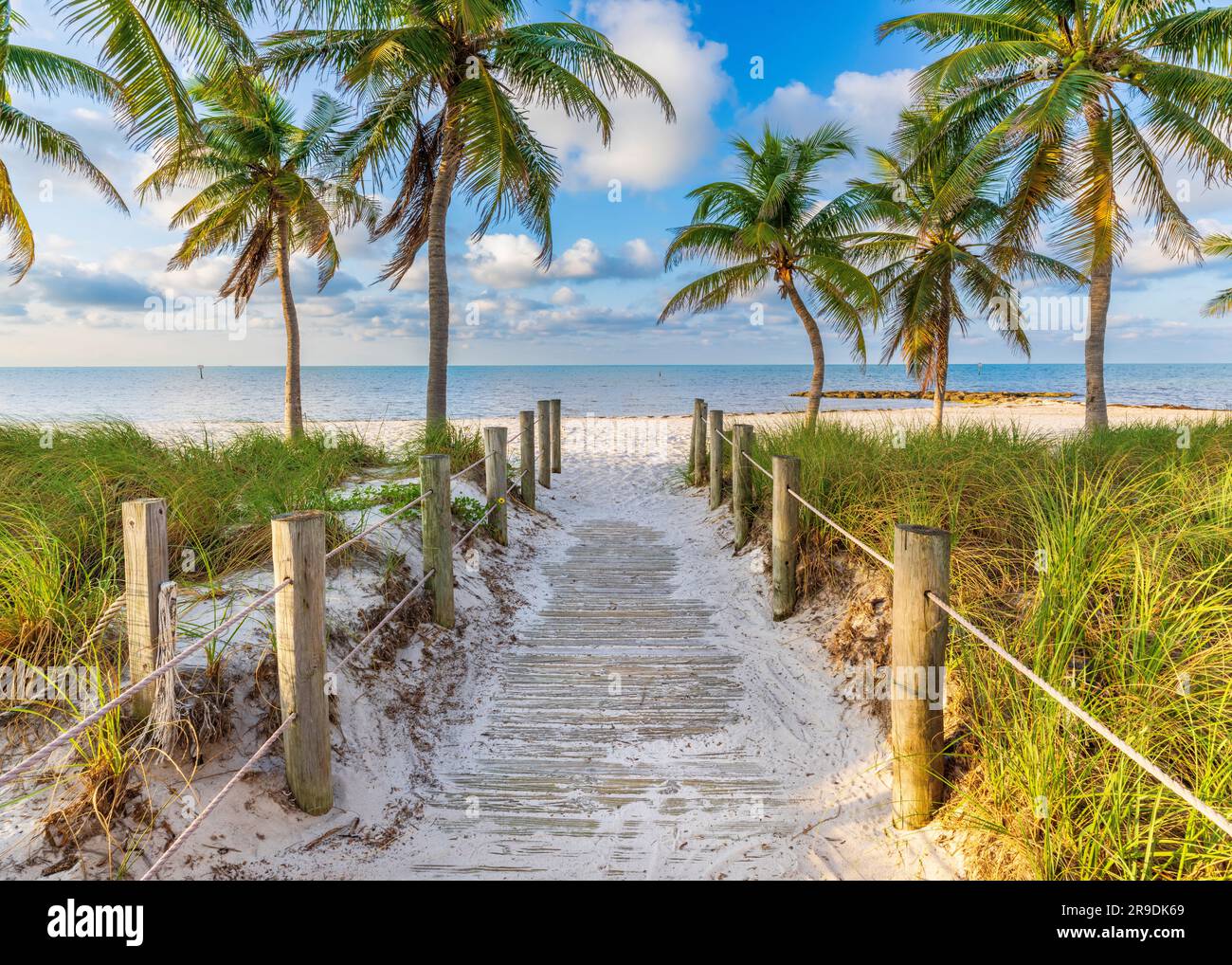 Smathers Beach, Sunrise bellamente enmarcado por palmeras Key West, Florida, Estados Unidos Foto de stock