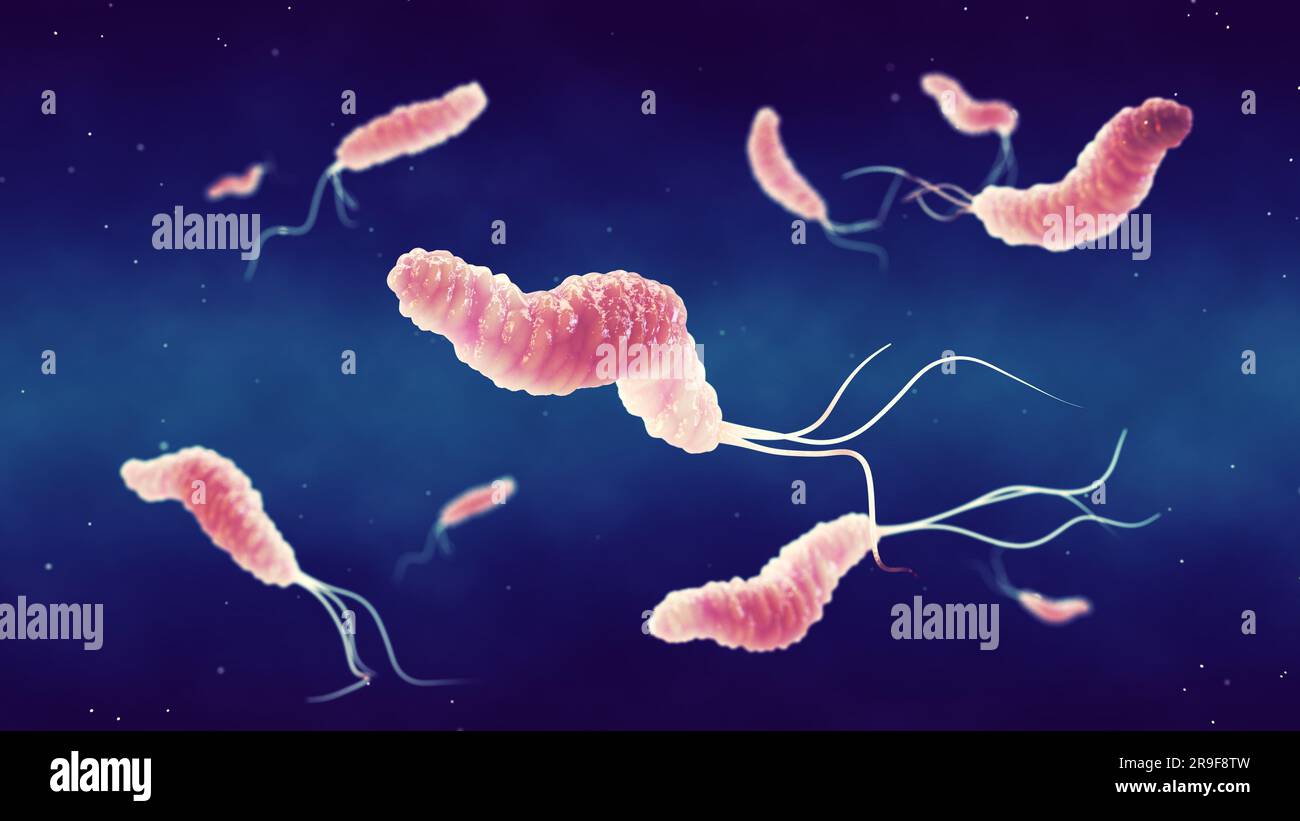 Helicobacter pylori es una bacteria gastrointestinal que puede afectar