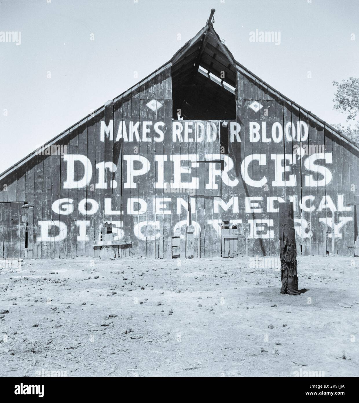 La fotógrafa Dorothea Lange fotografía Estados Unidos durante y después