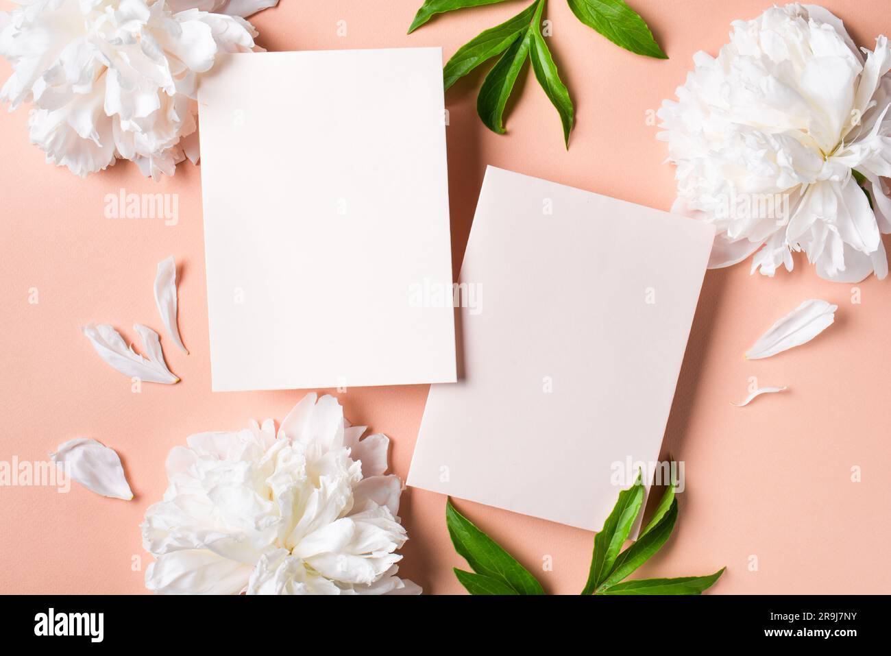 Tarjeta en blanco de saludo o invitación, flores de peonía sobre fondo rosa pastel, espacio de copia. Maqueta creativa con estilo, boda romántica o celebración festiva Foto de stock