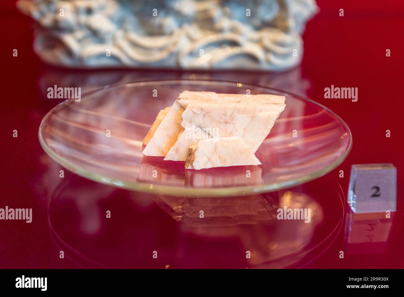 Guantes de jardín, sombrero para el sol, y llana en una bandeja con poca  profundidad de campo Fotografía de stock - Alamy