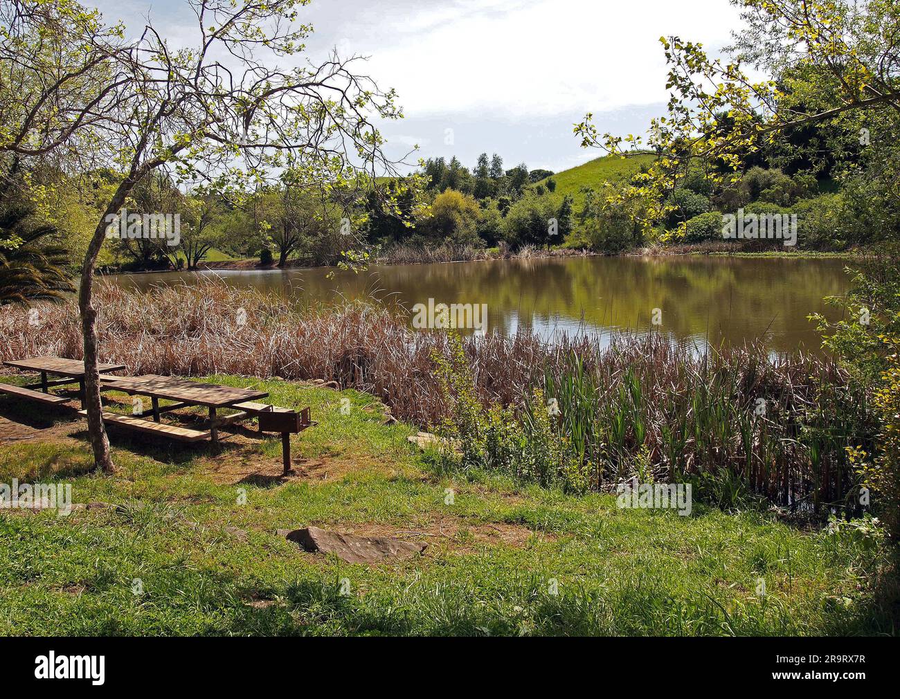 Mesas de picnic a lo largo de un estanque en Garin Regional Park, California Foto de stock