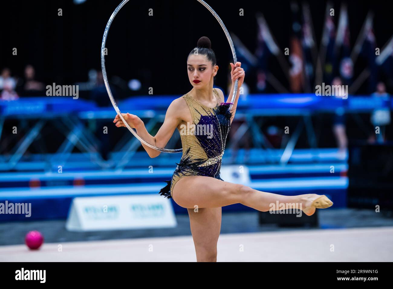 Aros de gimnasia rítmica . Pelotas rítmica - Danza y Más