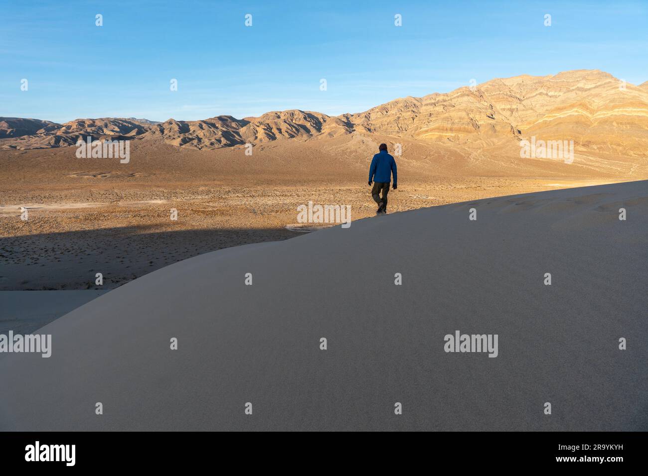 Un hombre excursionista caminando en una duna de arena haciendo una silueta contra una montaña iluminada en la distancia, Eureka Dunes, Death Valley Natio Foto de stock