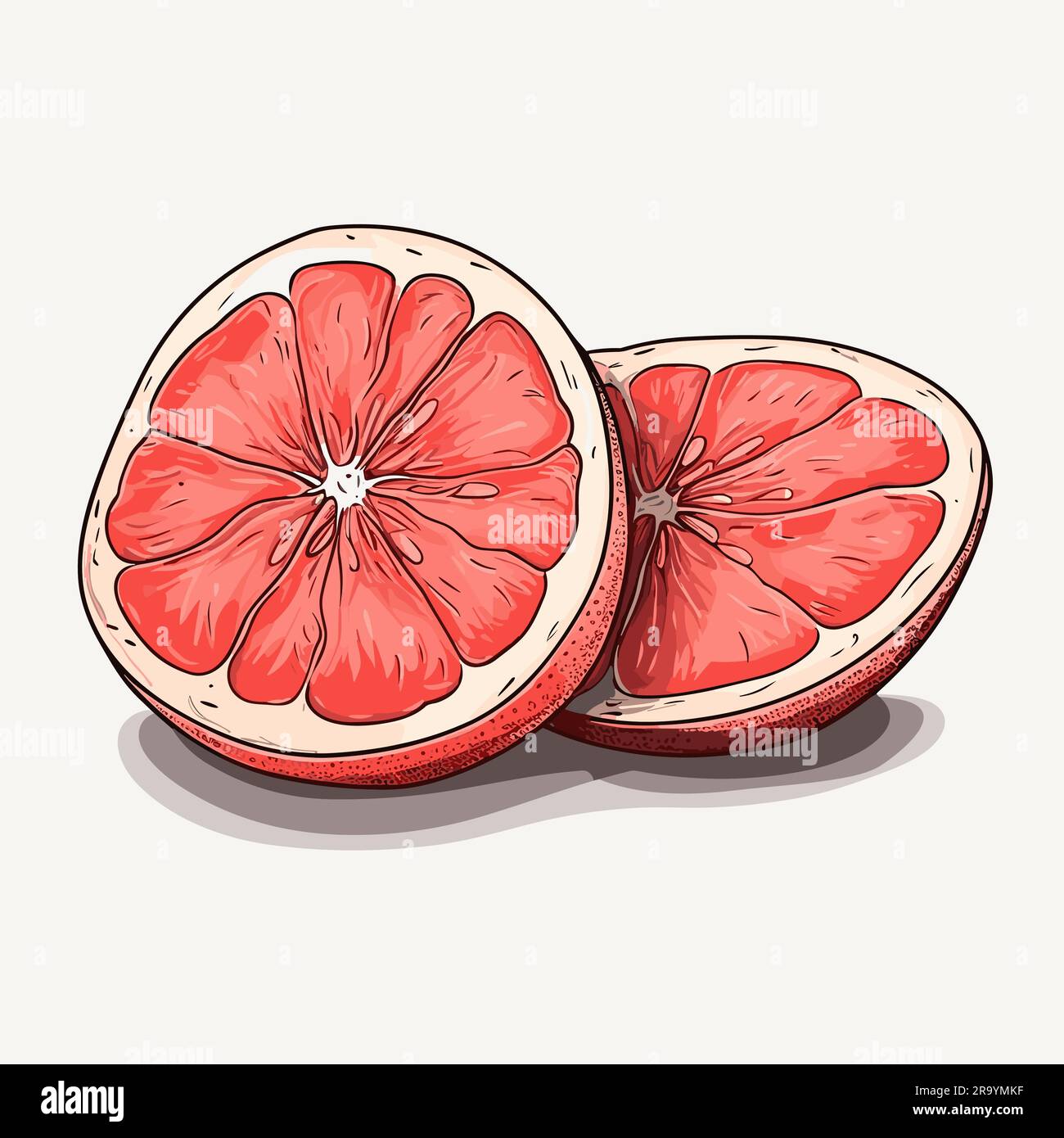 Pomelo. Pomelo dibujado a mano ilustración. Vector doodle estilo