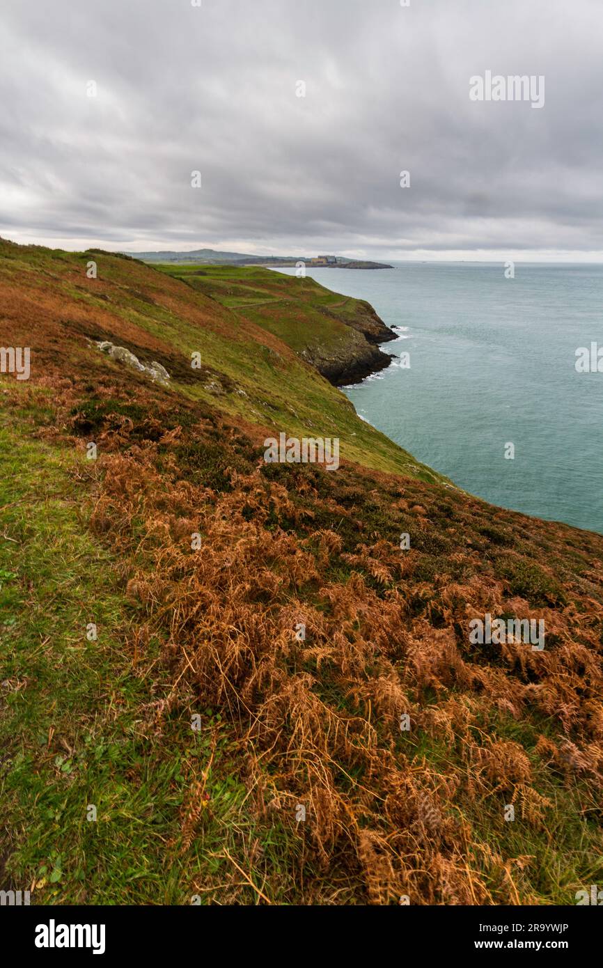 Anglesey North Coastal Path, Gales. Otoño o caída, y mar, retrato, gran angular mirando hacia el oeste Foto de stock