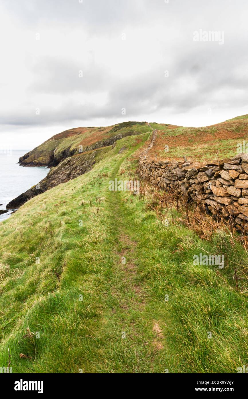 Anglesey North Coastal Path, Gales. Otoño o caída camino con la pared de piedra seca, y el mar en la distancia, retrato, gran angular Foto de stock