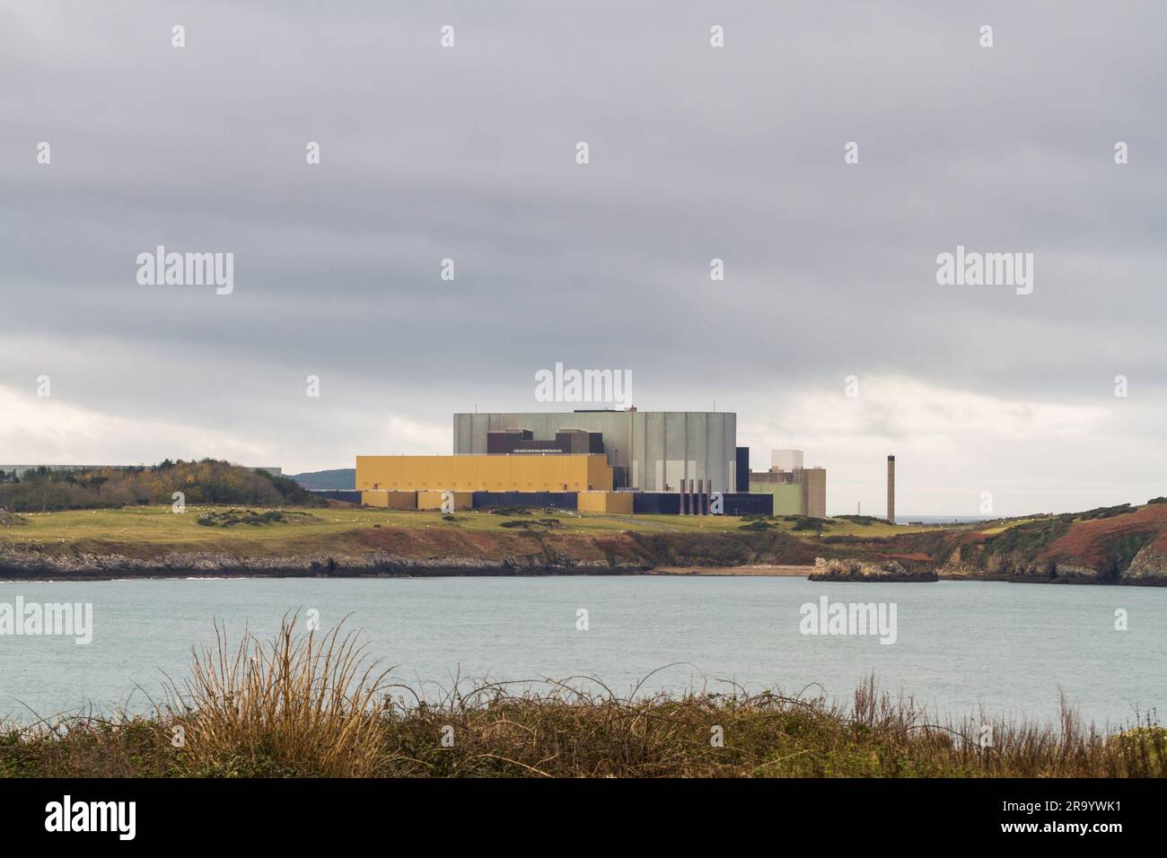 La central nuclear de Wylfa en la costa norte de Anglesey, Gales del Norte, Reino Unido, copia el espacio en la parte superior. Foto de stock