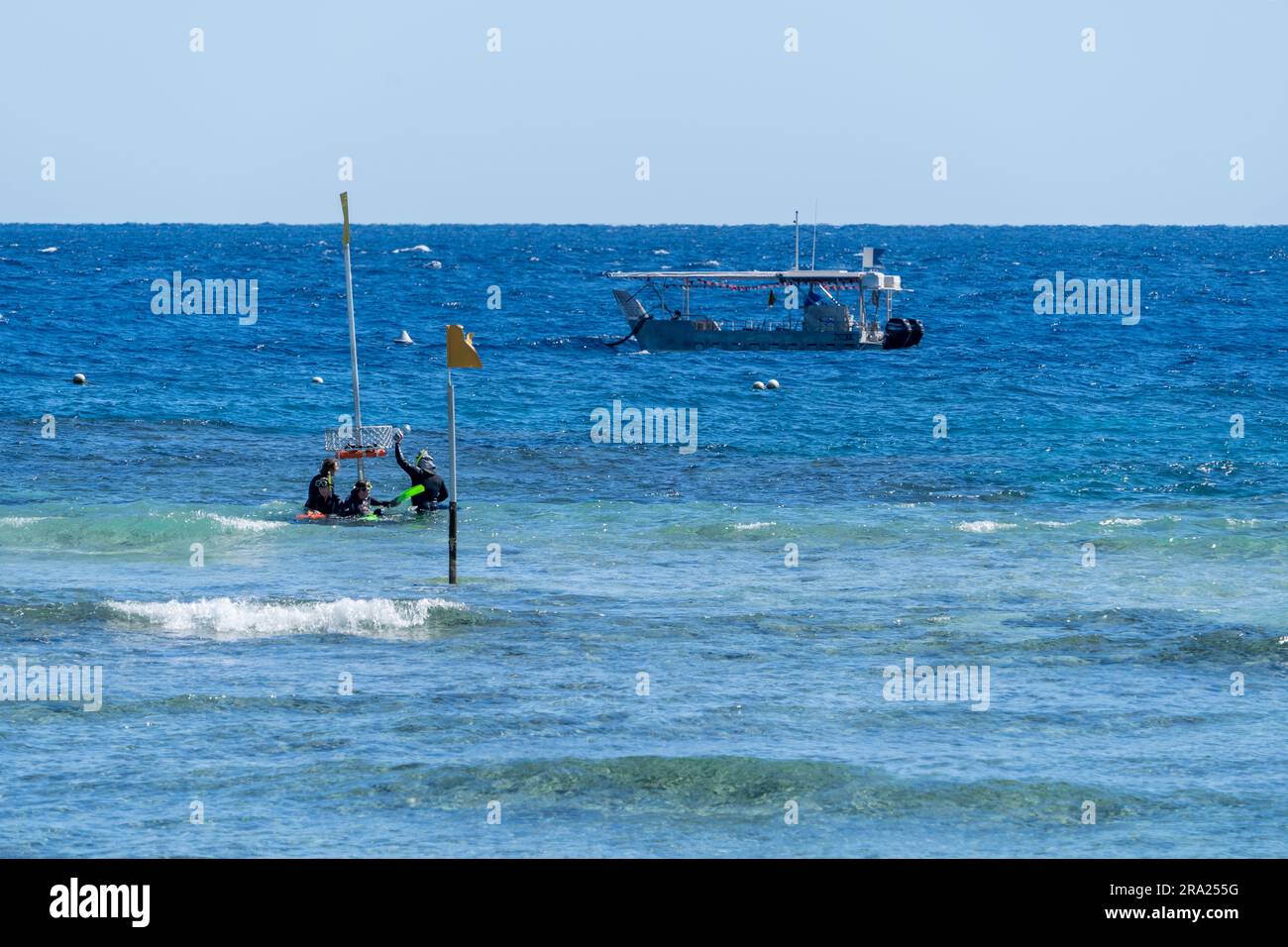 Buceadores entrando en el agua con barcos con fondo de vidrio anclados en el fondo, Lighthouse Beach, Lady Elliot Island Eco Resort, Queensland, Australia Foto de stock