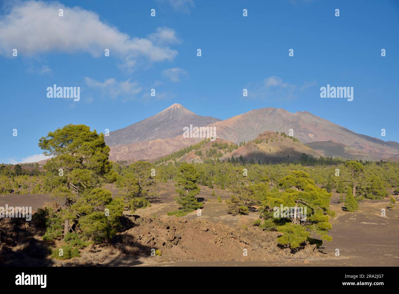 España, Islas Canarias, Isla de Tenerife, Parque Nacional del Teide, declarado Patrimonio de la Humanidad por la UNESCO, la cumbre de Teide y Pico Viejo Foto de stock