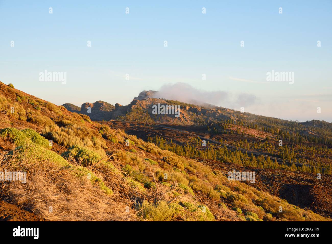 España, Islas Canarias, Tenerife, Parque Nacional del Teide declarado Patrimonio de la Humanidad por la UNESCO, carretera TF 21 al atardecer al pie del volcán Teide, la cumbre más alta de España que culmina a 3718 metros Foto de stock