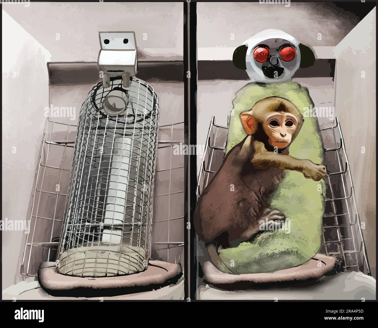 Experimentos de harlow fotografías e imágenes de alta resolución Alamy