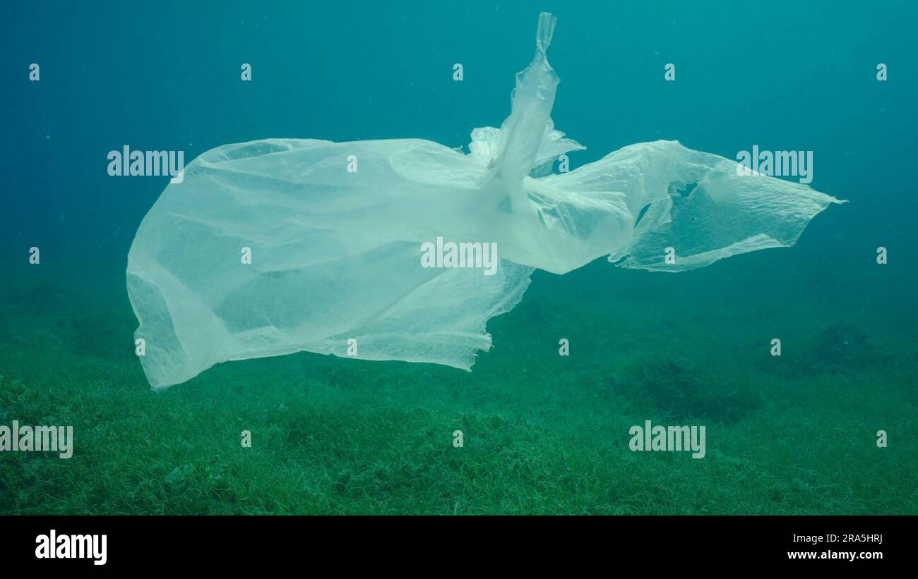 Vieja bolsa de plástico a la deriva en la columna de agua sobre prado de pastos marinos. Bolsa de plástico que flota bajo el agua en la profundidad azul, contaminación ambiental. Plástico Foto de stock