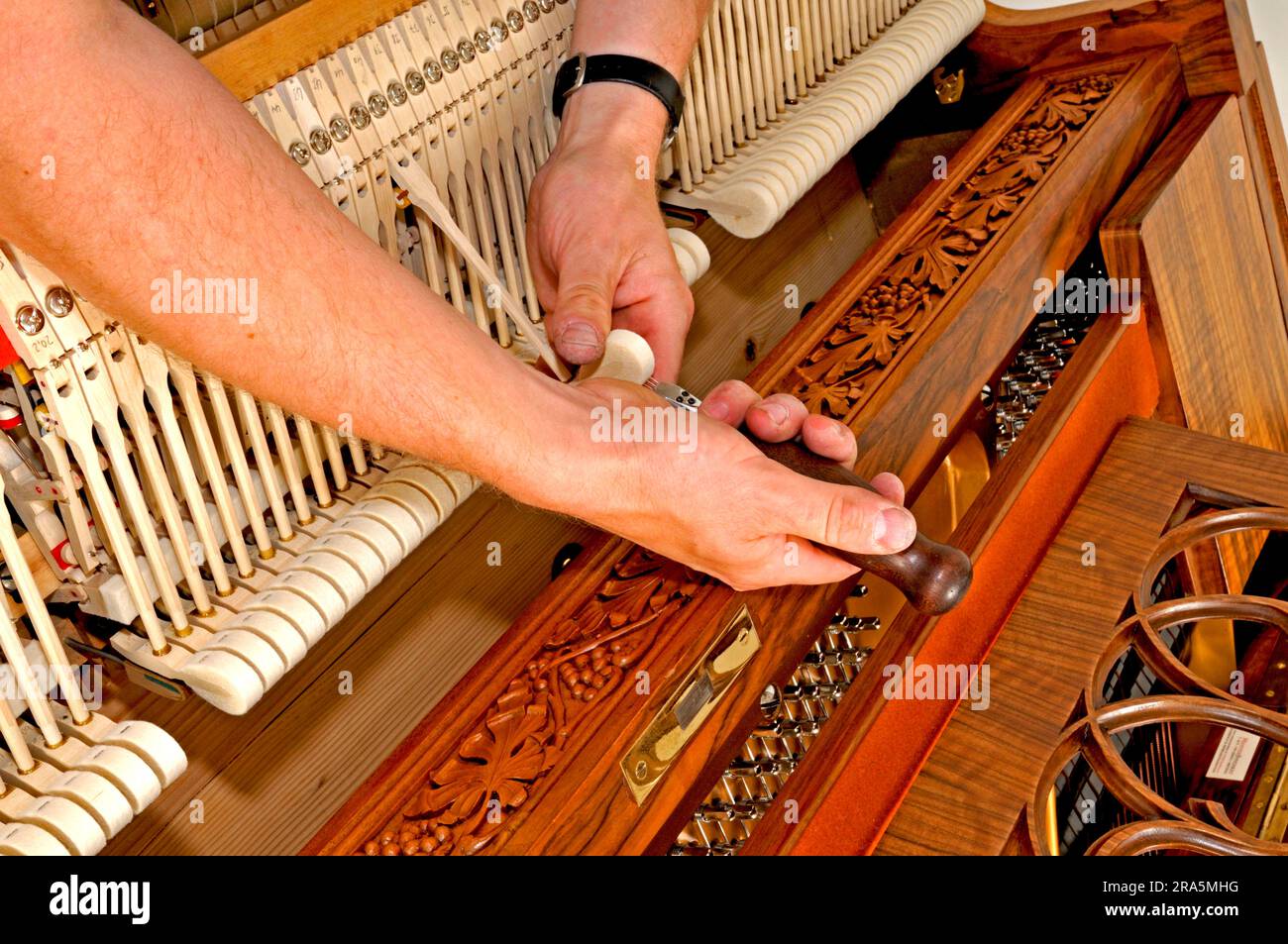 El está afinado, piano, música, hacer música, instrumento musical, tune, instrumento teclado, afinador de Fotografía de stock Alamy