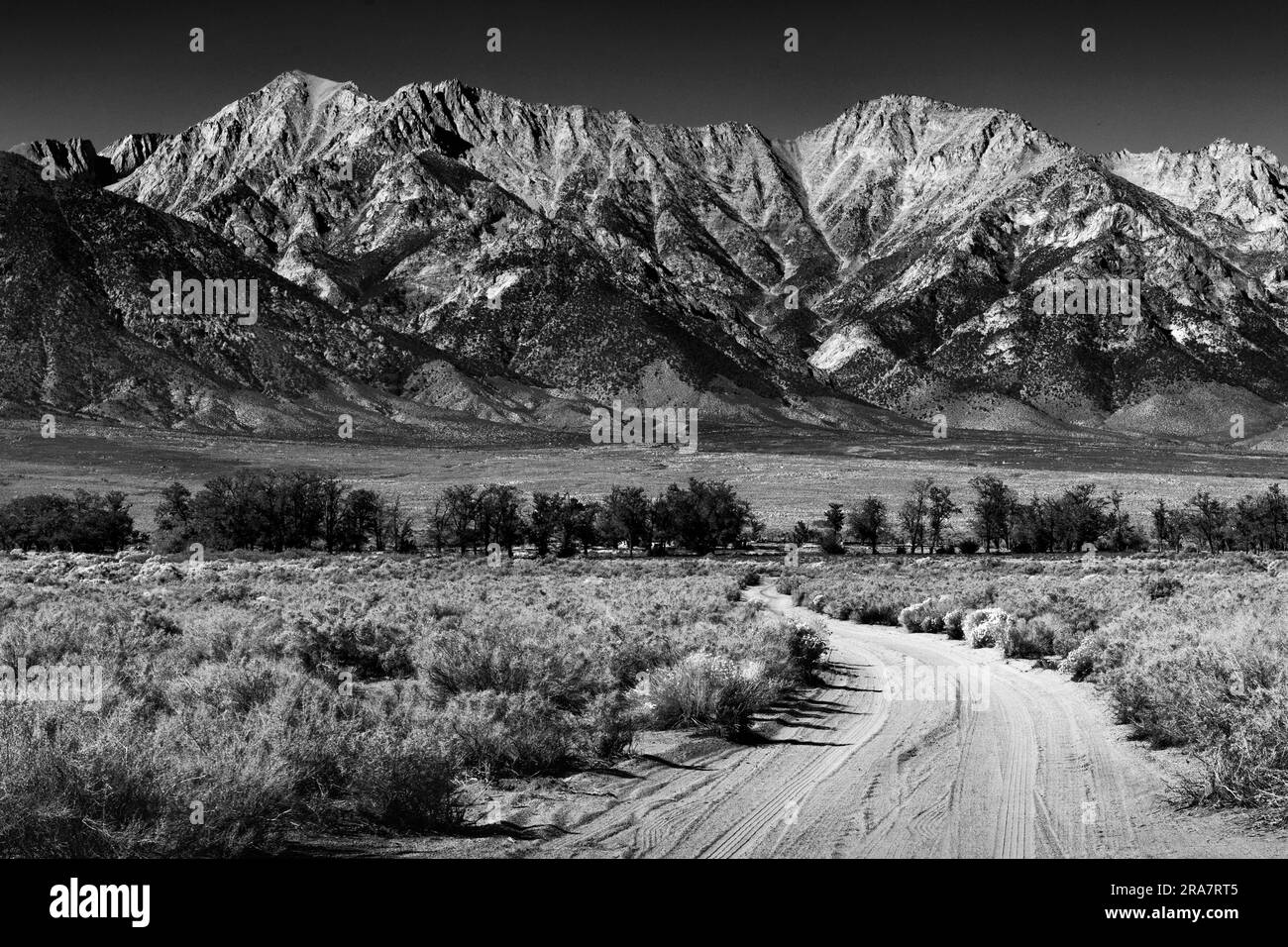 Camino de tierra blanco y negro en la llanura desértica que conduce a las estribaciones nevadas de las montañas de Sierra Nevada en la distancia en California Foto de stock