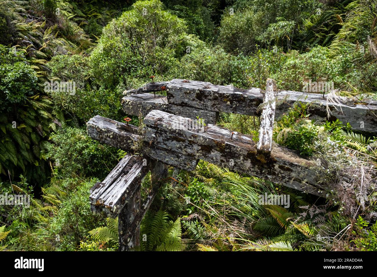 Un viejo puente de madera cerca del puente de Waikoura en el sendero de la madera de Pureora-Ongarue, Taumarunui, Parque Forestal de Pureora, King Country, Isla Norte, nueva Zelandia Foto de stock