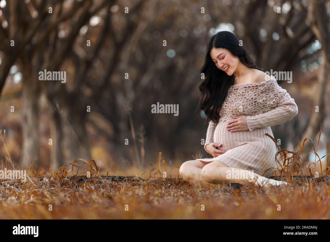 mujer embarazada feliz que se sienta y mira su vientre en el parque del otoño Foto de stock