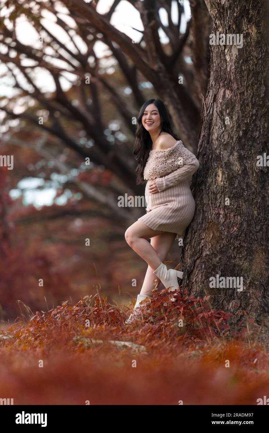 mujer embarazada hermosa feliz joven acariciando su vientre en el parque del otoño Foto de stock