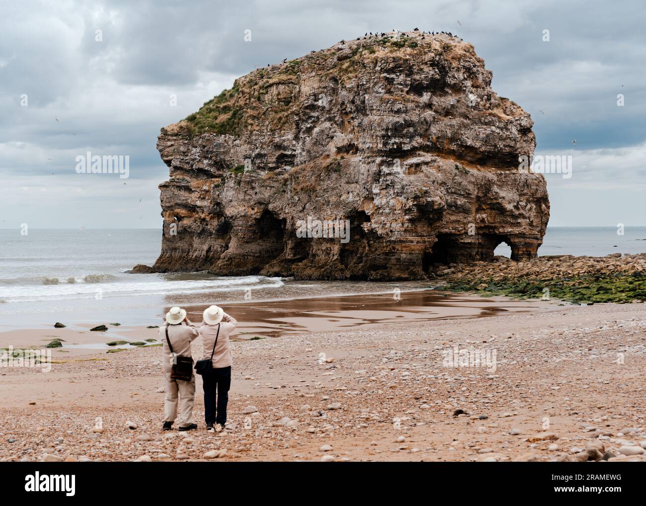 Dos personas retiradas usando binoculares para ver la colonia de aves en la cima de Marsden Rock en Marsden Beach en South Shields. Foto de stock