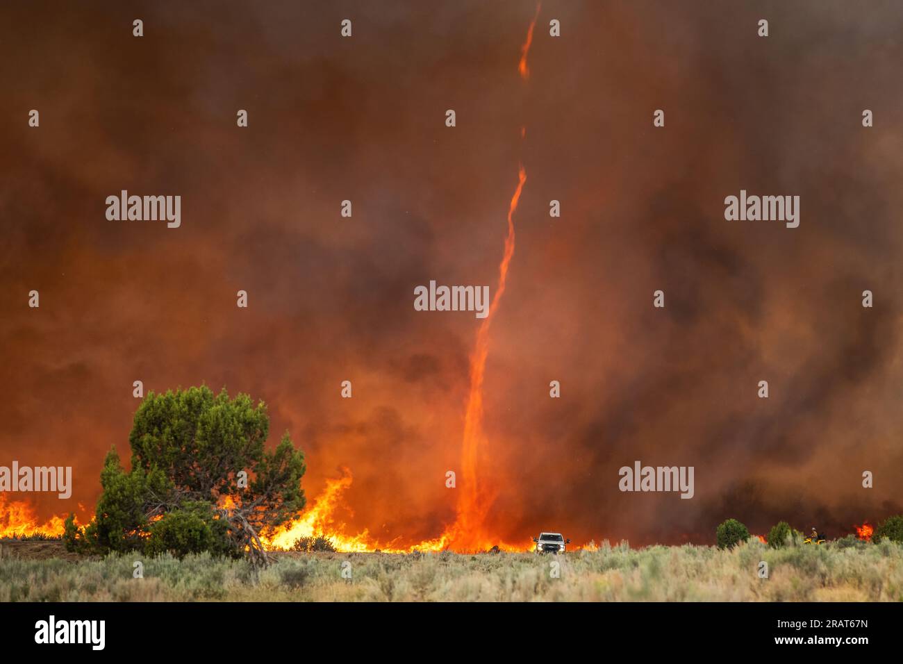 El incendio Pine Bulch en Colorado. Foto de Eric Coulter, BLM Foto de stock