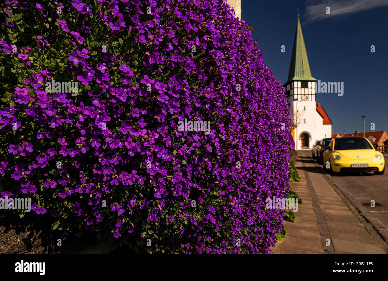 Iglesia en Rønne, flores, isla de Bornholm Foto de stock