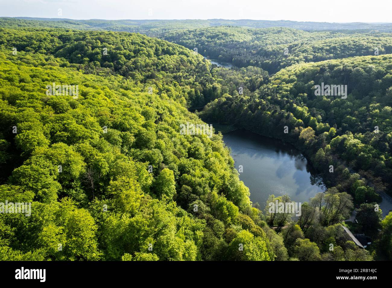 Europa, Polonia, Silesia, Cracovia-Czestochowa Upland / Polish Jurassic Highland, Rezerwat przyrody Parkowe / Parkowe reserva natural, río Wiercica y estanques de granja Foto de stock