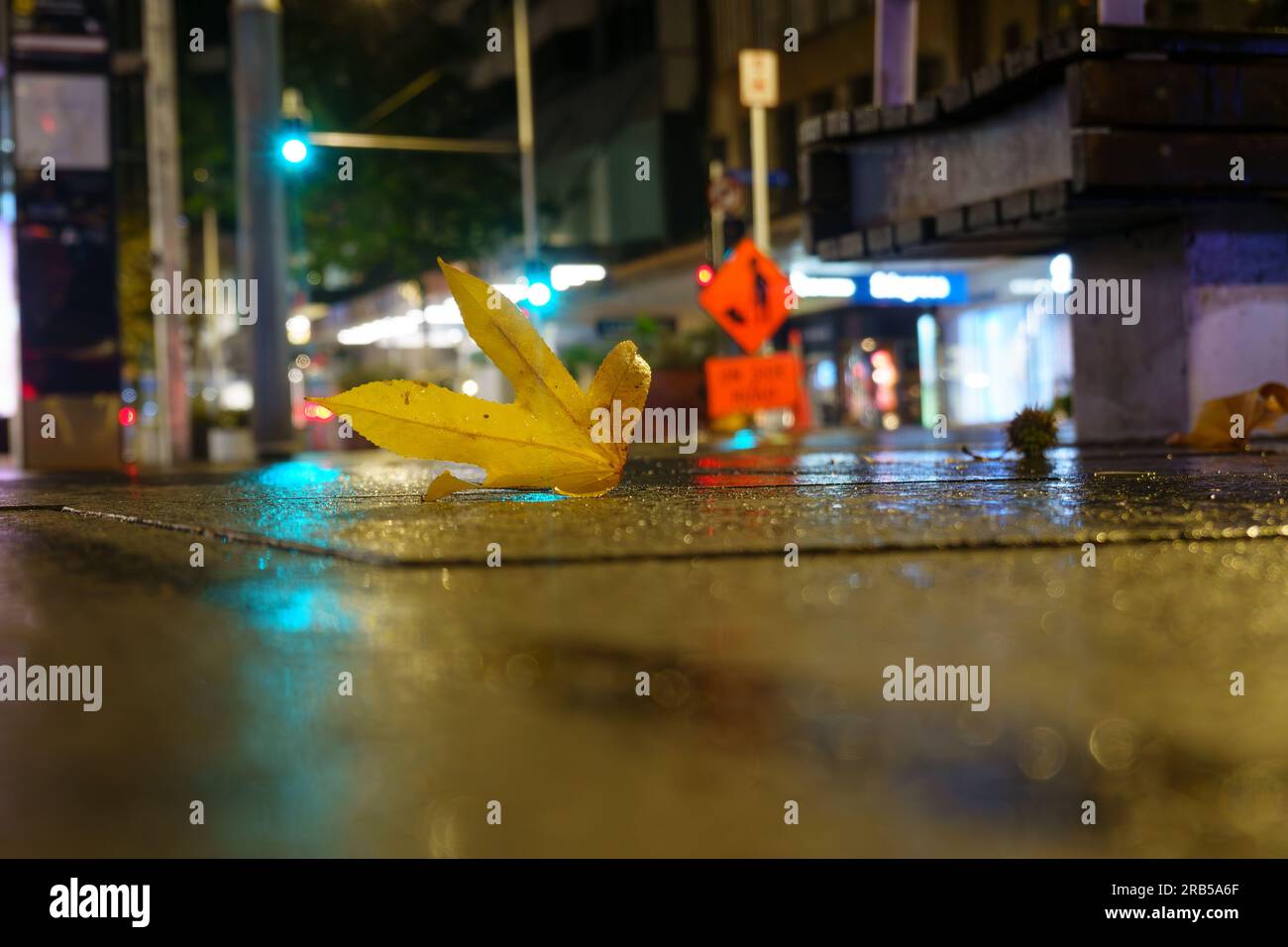Hoja de oro en la acera contra el fondo urbano borroso en la noche lluviosa y la calle mojada de la ciudad en la oscuridad Foto de stock