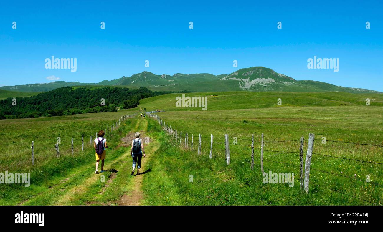 Excursionistas en el macizo de Sancy, Parque Natural de los Volcanes de Auvernia, Puy de Dome, Auvernia Ródano Alpes, Francia Foto de stock