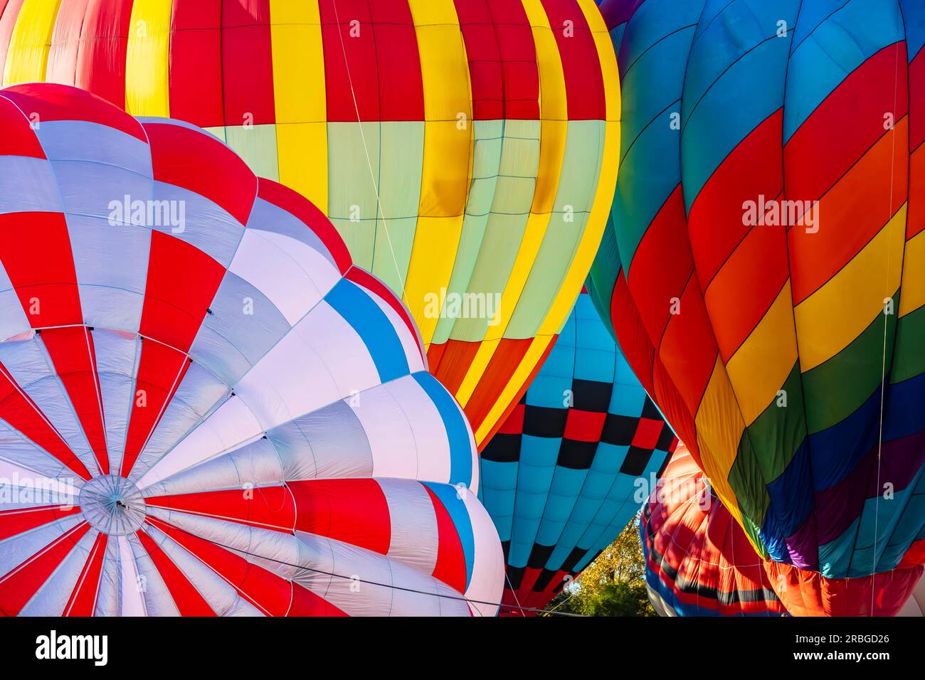 Miles disfrutan del desfile de globos gigantes en NY - Los Angeles