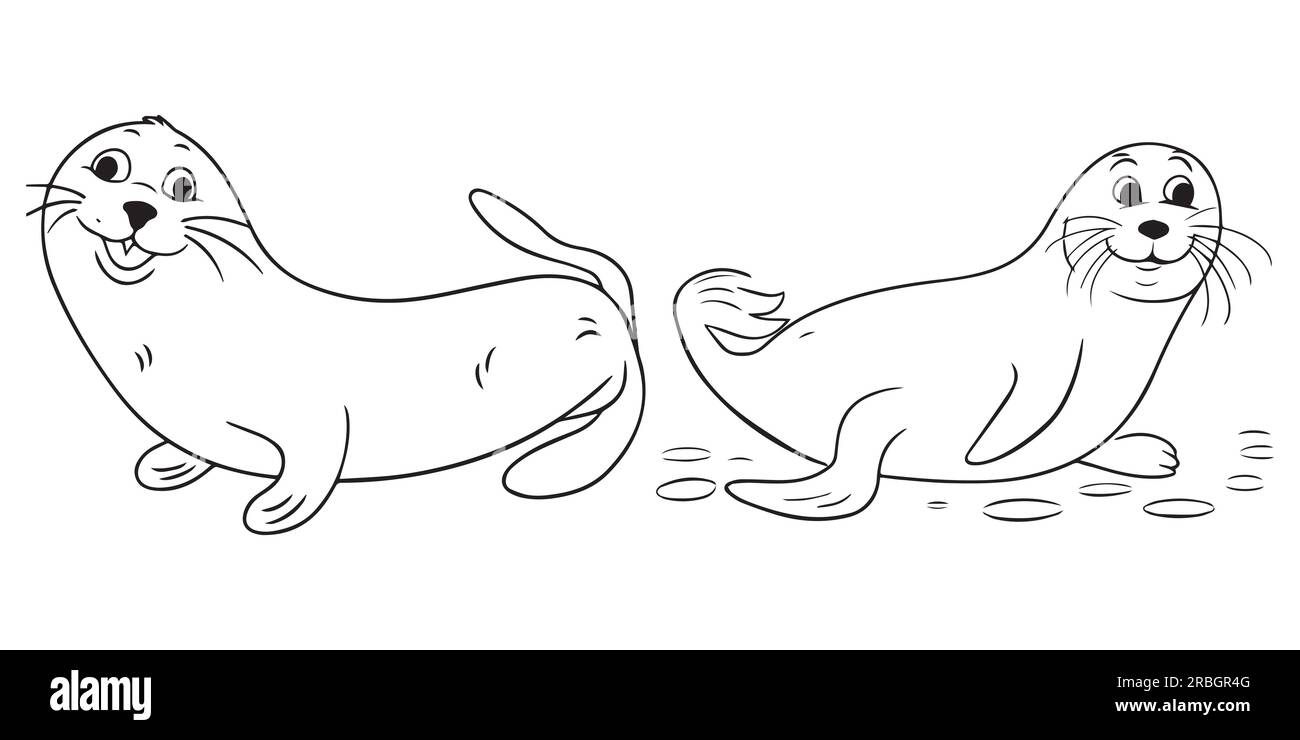 dibujos de animales marinos sobre lienzo blanco Imagen Vector de stock -  Alamy