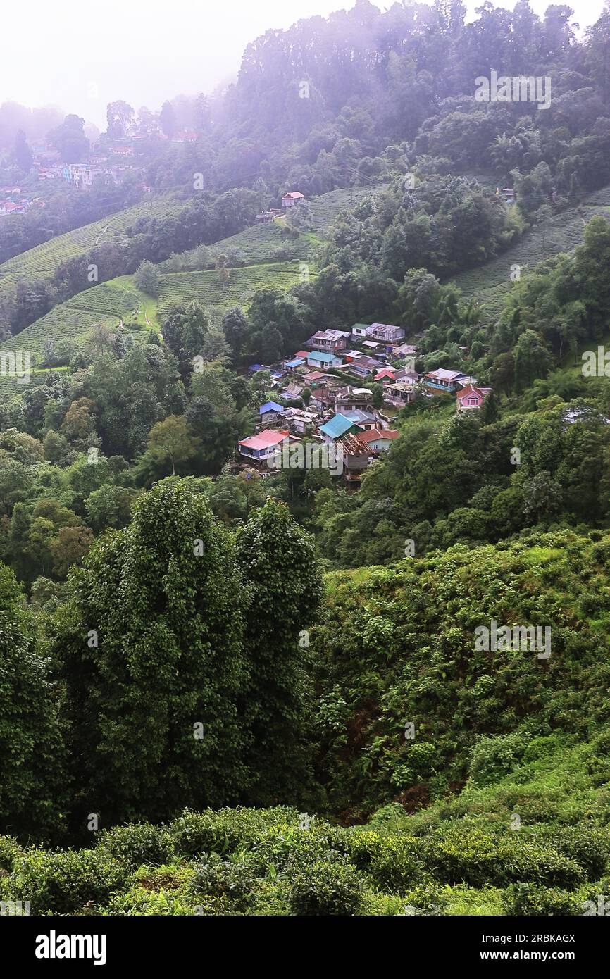 vista panorámica del exuberante valle verde y el pueblo de montaña en verano, situado en las estribaciones del himalaya cerca de la estación de la colina de darjeeling en el oeste de bengala, india Foto de stock