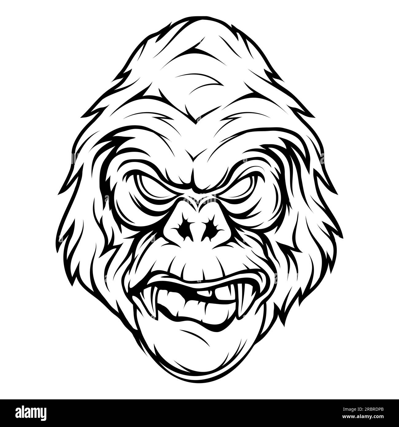 Gorila. Ilustración vectorial de primates. Boceto de una cabeza de ...