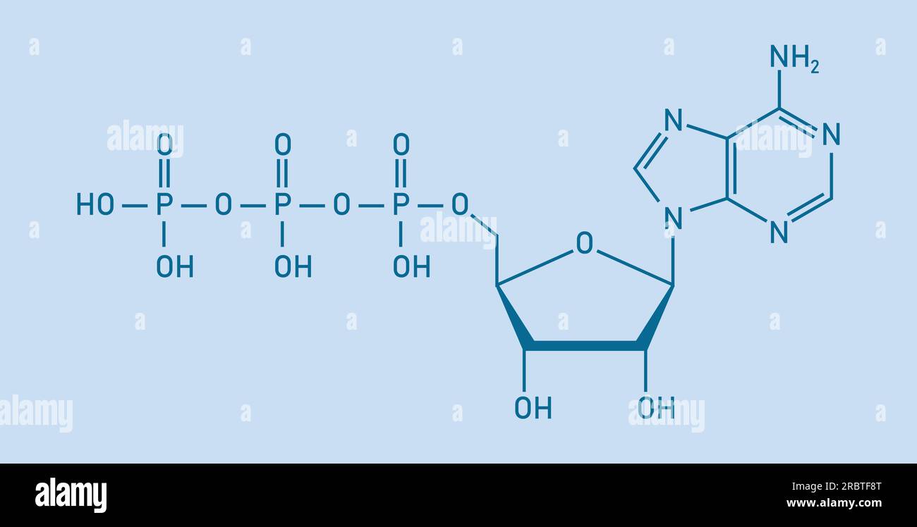 estructura de difosfato de adenosina