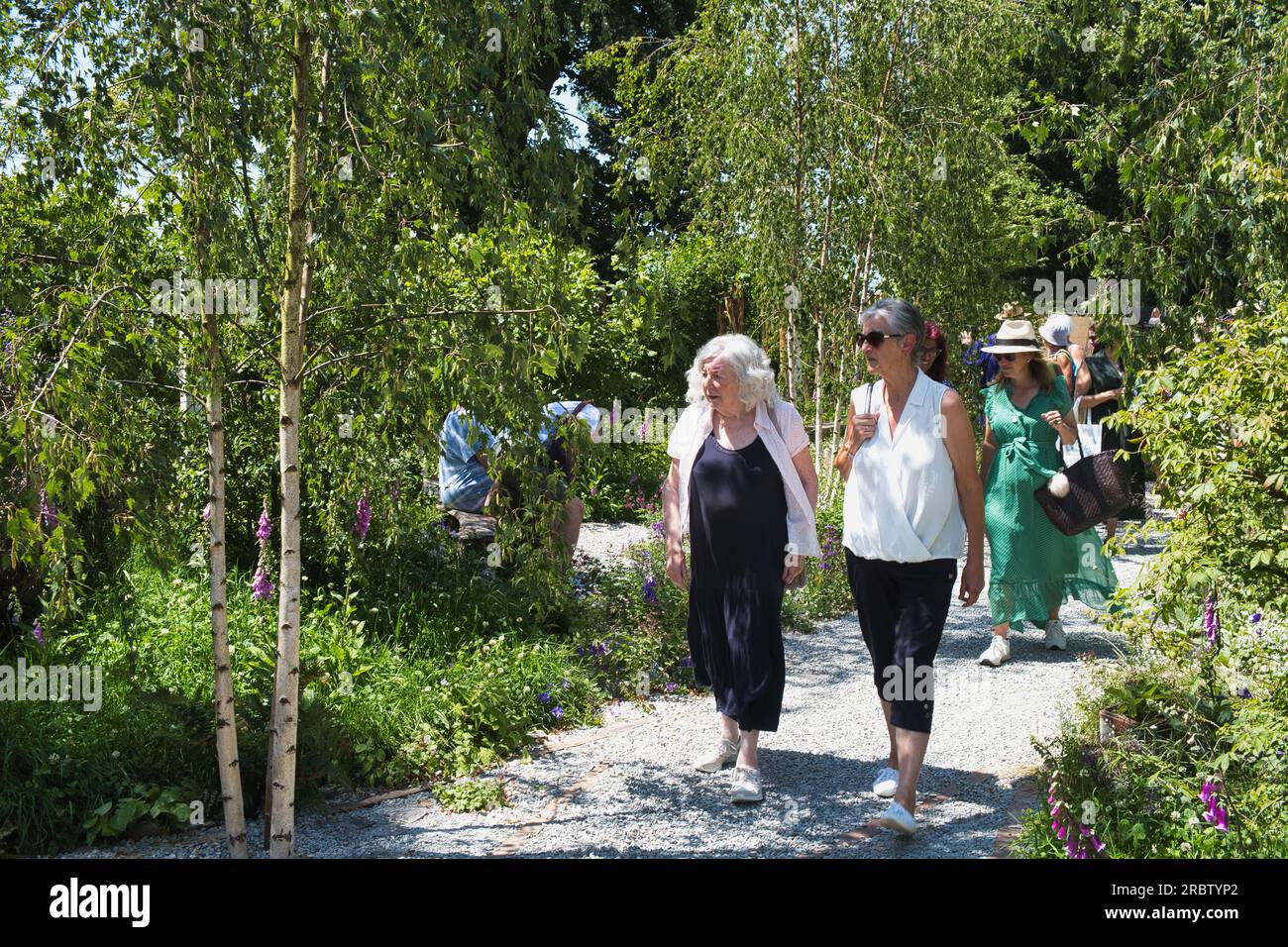 Los visitantes admiran uno de los jardines del espectáculo en el RHS Hampton Court Flower Show en Londres Foto de stock