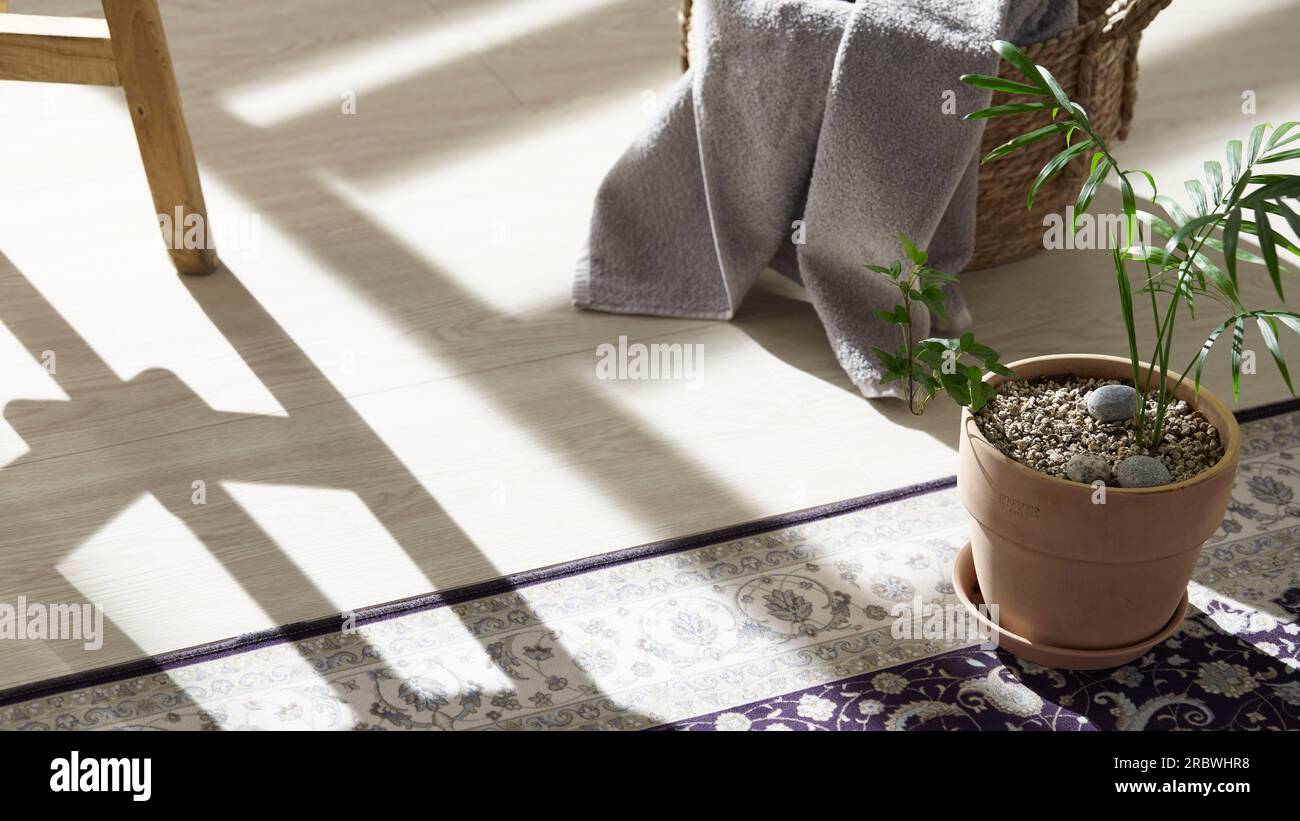 Jarrones y objetos sobre la mesa en una habitación cálida con la luz del sol entrando Foto de stock