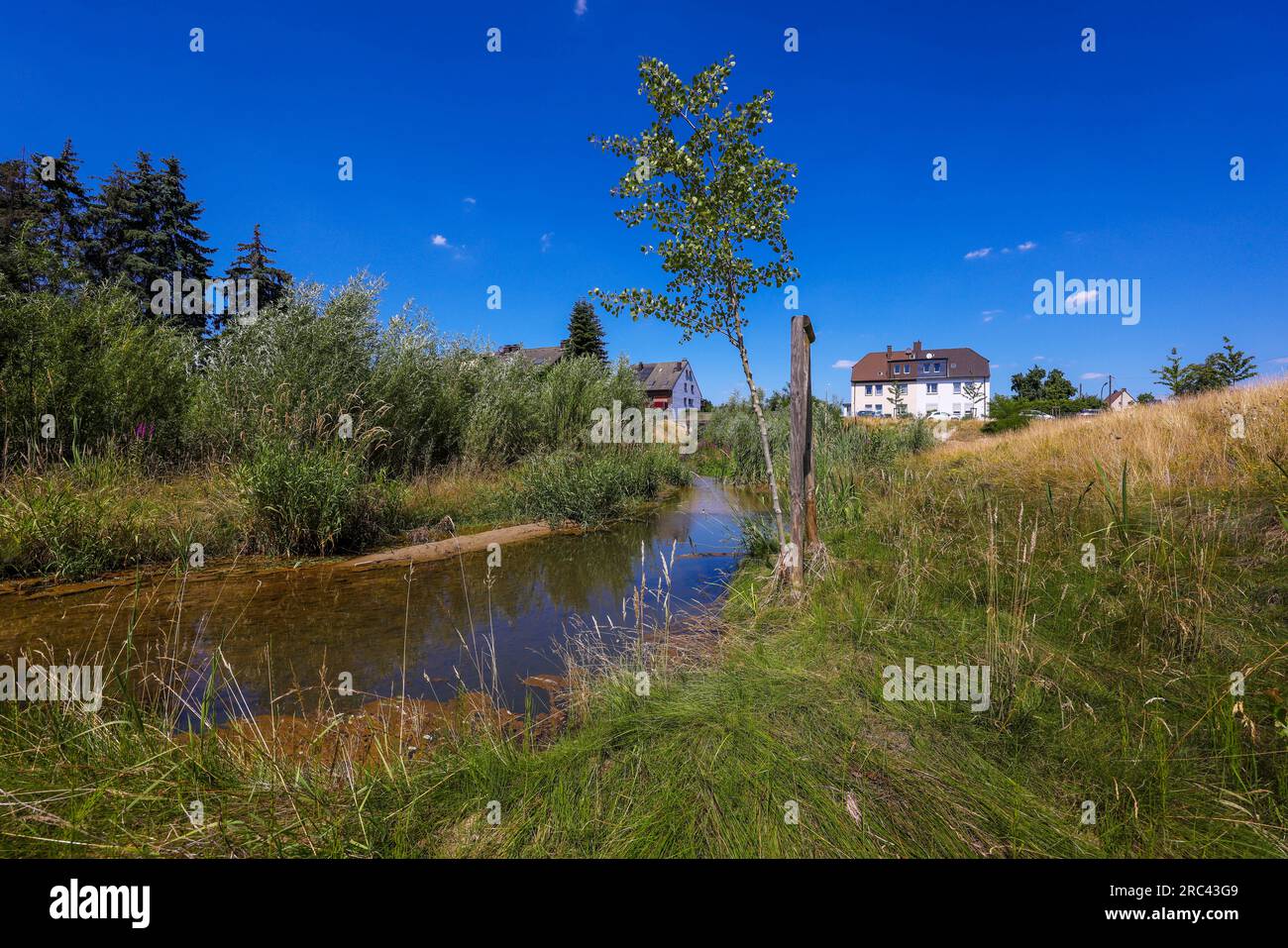 Recklinghausen, Renania del Norte-Westfalia, Alemania - Hellbach renaturalizado, curso de agua renaturalizado, el Hellbach está ahora libre de aguas residuales después del Foto de stock