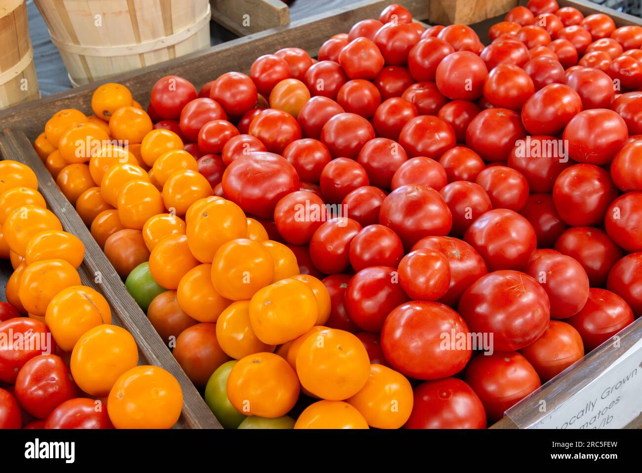 Tiro horizontal de hermosos tomates rojos y amarillos frescos en un puesto de frutas. Foto de stock