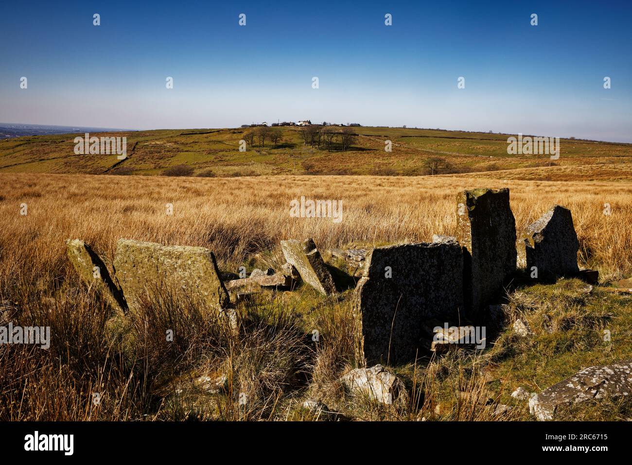 Belthorn fotografías e imágenes de alta resolución Alamy