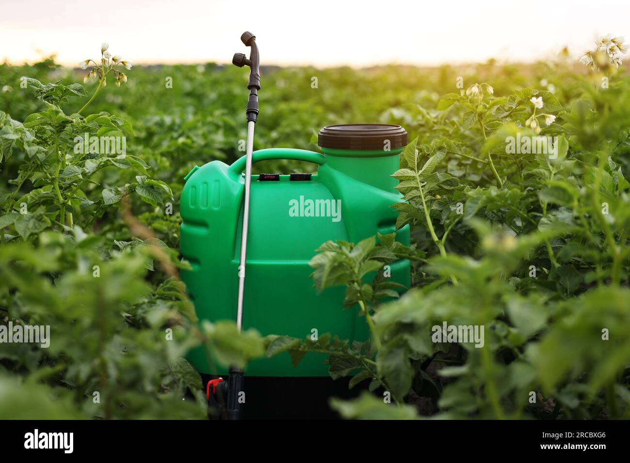 Plástico verde mochila contenedor pulverizador con líquido de pesticida