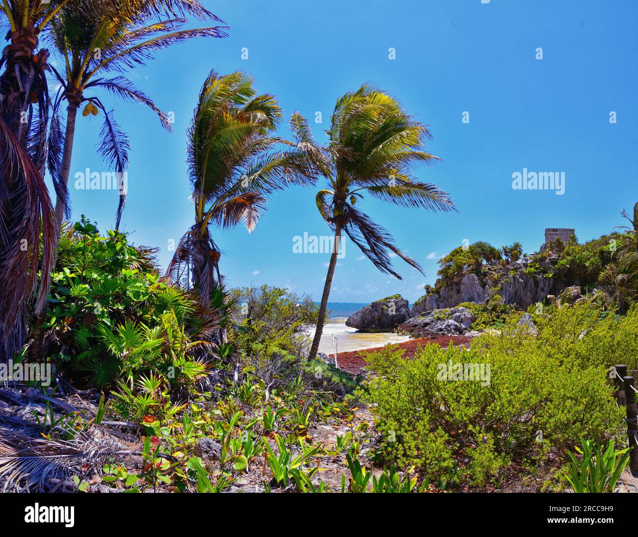 Tulum Antigua ciudad portuaria maya en la costa caribeña en la península de Yucatán México. Vistas por las ruinas de El Castillo. América Central del Norte. Foto de stock