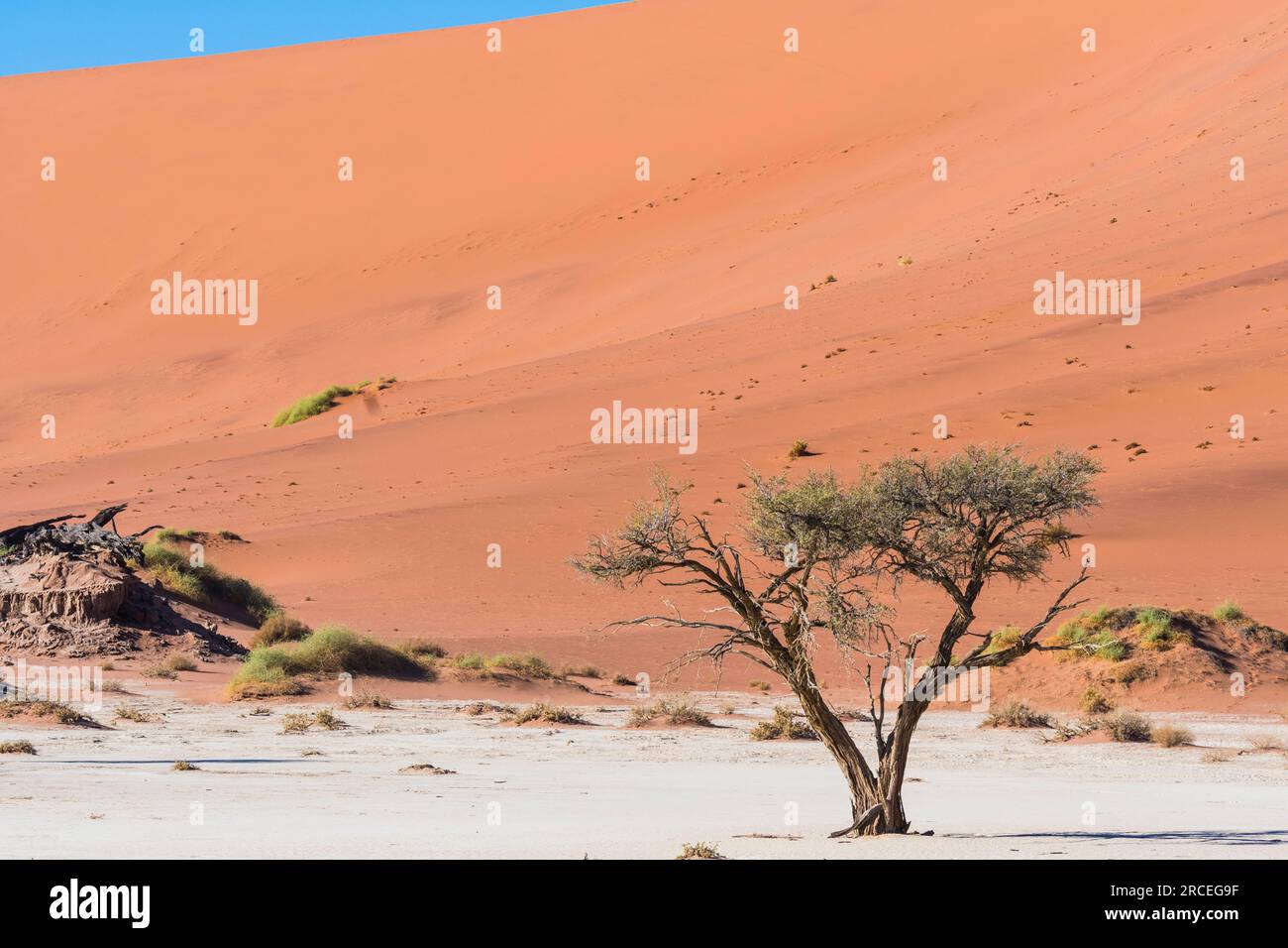 Dunas de arena y siluetas en Namibia Foto de stock