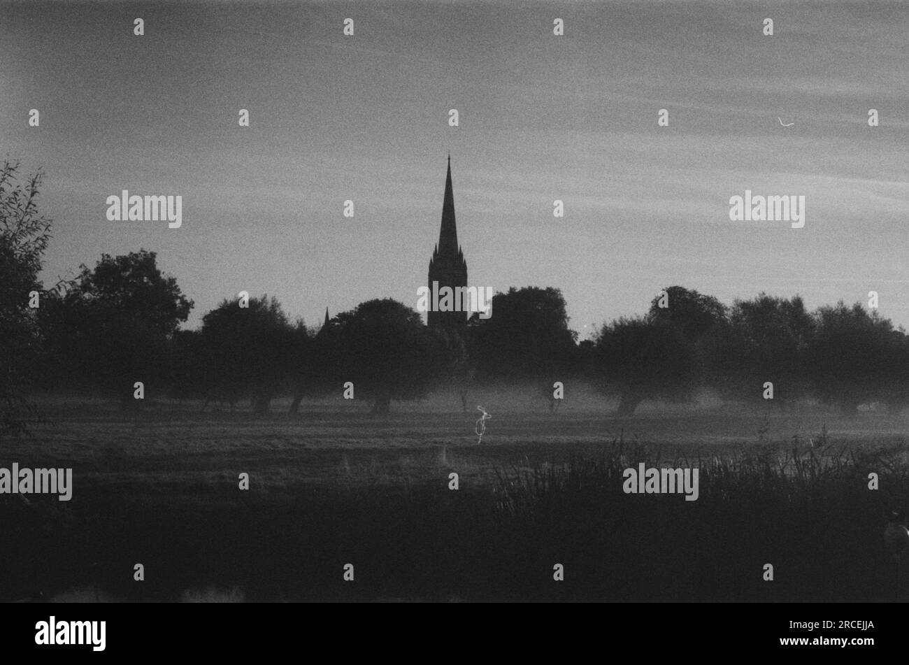 Catedral de Salisbury en la niebla de la mañana. Con vistas a los prados de agua. Fotografía 35mm en blanco y negro tomada con Leica M6 Foto de stock