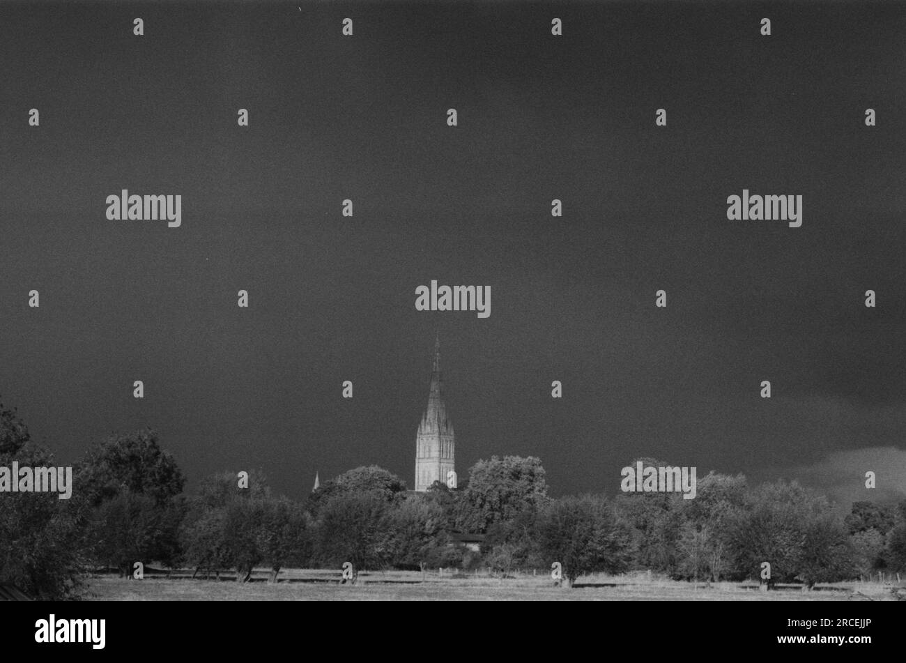 Catedral de Salisbury en la niebla de la mañana. Con vistas a los prados de agua. Fotografía 35mm en blanco y negro tomada con Leica M6 Foto de stock