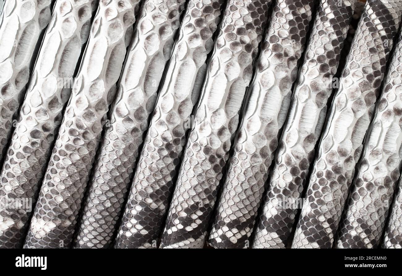 fondo de serpiente blanco y negro, textura de piel de reptil con relieve escamoso Foto de stock