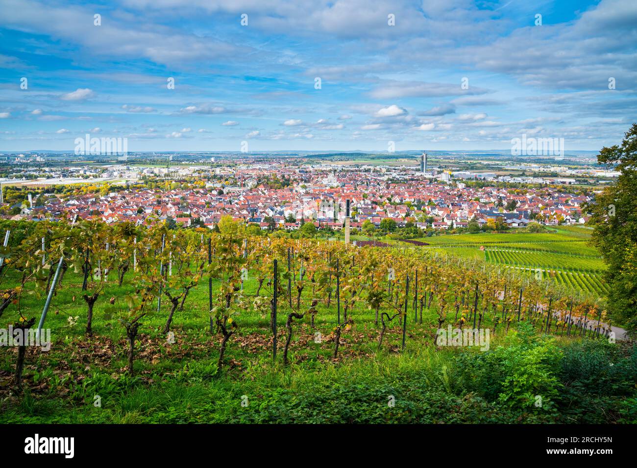 Alemania, horizonte de la ciudad de Fellbach vista panorámica del viñedo temporada de otoño por encima de los tejados casas torre en el estado de ánimo de la puesta del sol con el cielo azul y el sol Foto de stock